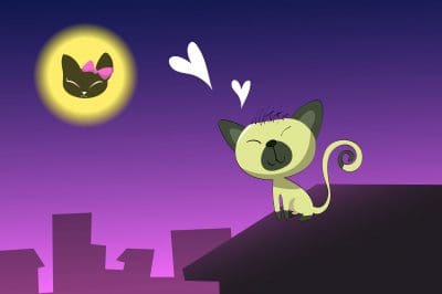 Lindos Mensajes De Buenas Noches Para Conquistar│Nuevas Frases De Buenas Noches Lindos Mensajes De Buenas Noches Para Conquistar│Nuevas Frases De Buenas Noches